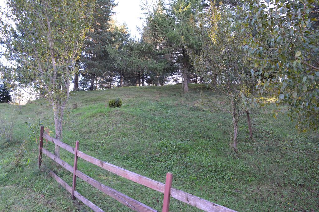 Holiday Home Lana Saborsko Zewnętrze zdjęcie
