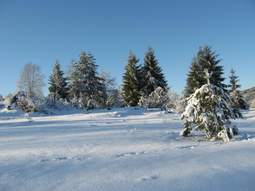 Holiday Home Lana Saborsko Zewnętrze zdjęcie