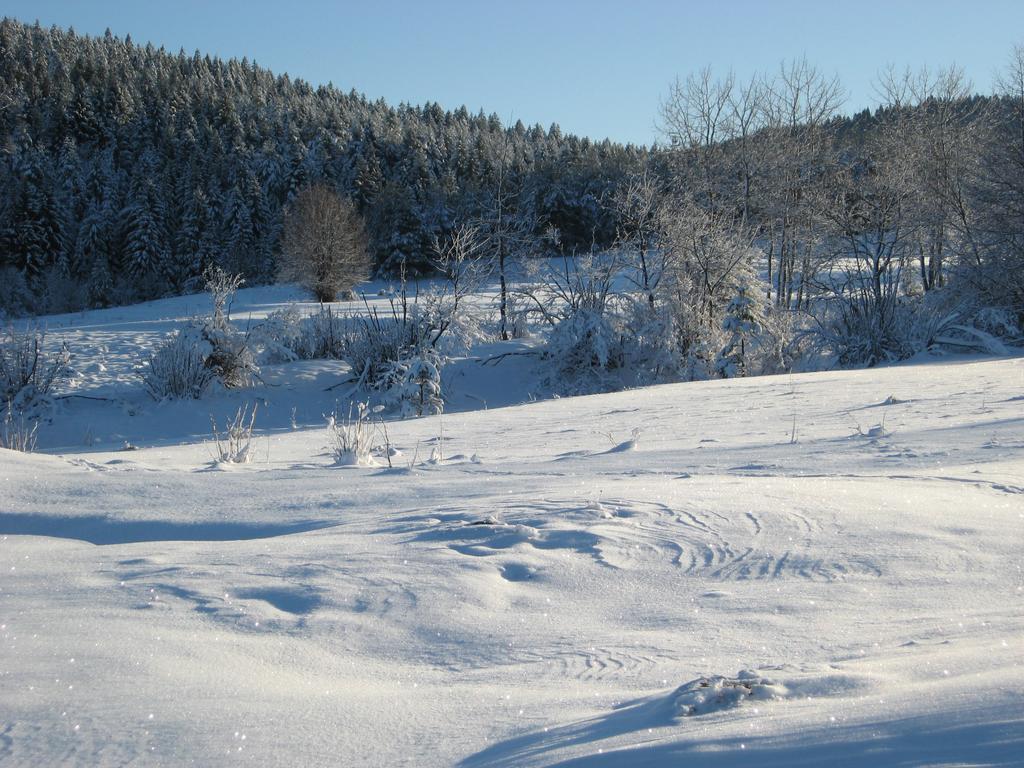 Holiday Home Lana Saborsko Zewnętrze zdjęcie