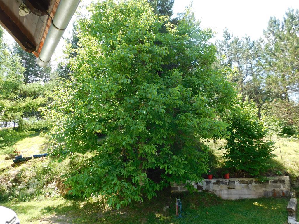 Holiday Home Lana Saborsko Zewnętrze zdjęcie